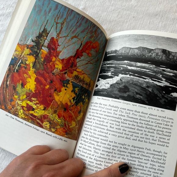 Vintage 1973-A Concise History of Canadian Painting by Dennis Reid - Green Cover - Picture 15 of 16